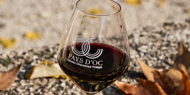 Venez déguster la collection Automne/Hiver des Vins Pays d’Oc IGP