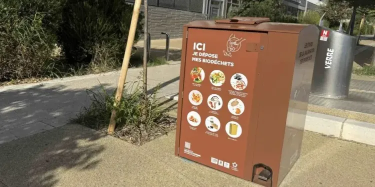 A Montpellier Glouton Donne Une Nouvelle Vie A Vos Dechets