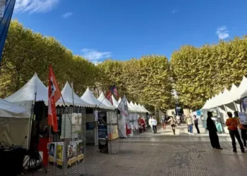 Coeur Animal Montpellier Celebre La Protection Animale Et Lanimal En Ville
