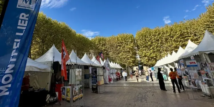 Coeur Animal Montpellier Celebre La Protection Animale Et Lanimal En Ville