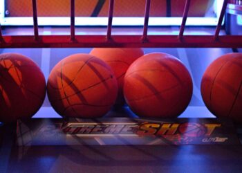 Castelnau Basket en fête : Une soirée entre supporters au Palais des Sports