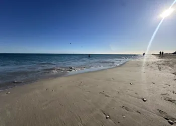 Meteo Une Semaine De Douceur A Montpellier