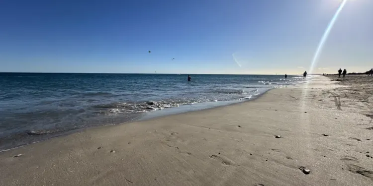 Meteo Une Semaine De Douceur A Montpellier