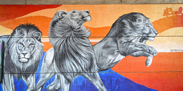 ©Ludovic Séverac/Montpellier3M