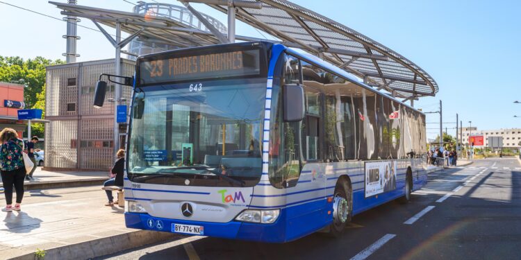 TaM : Du nouveau pour 24 lignes de bus dans la Métropole de Montpellier