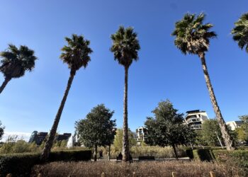 Retour du soleil pour ton week-end
