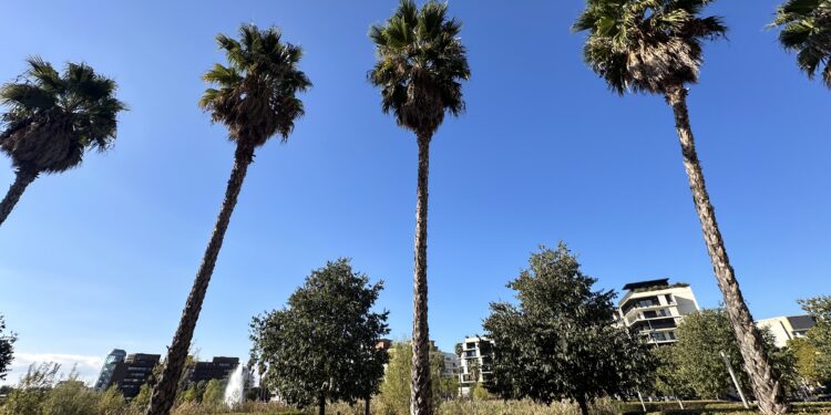 Retour du soleil pour ton week-end