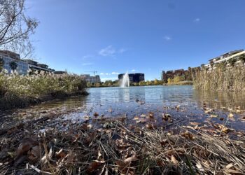 Pluie lundi, soleil pour le reste de la semaine