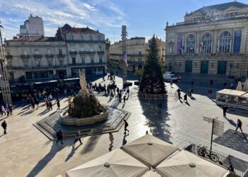 Montpellier : Le sapin de Noël est en place !