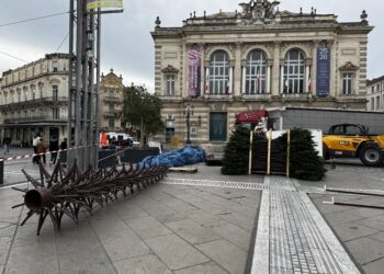 Le sapin de Noël arrive place de la Comédie 