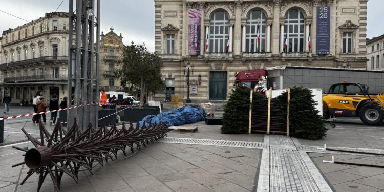 Le sapin de Noël arrive place de la Comédie 