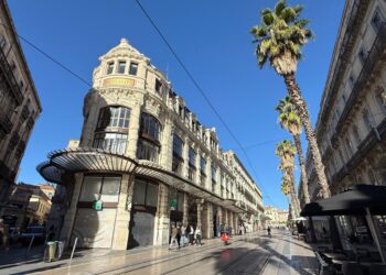 Montpellier accueillera la 2e plus grande boutique Søstrene Grene de France en 2026