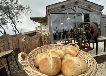 Le Domaine de l&rsquo;Oulivie ressuscite la « Pompe à Huile » dans sa nouvelle boulangerie