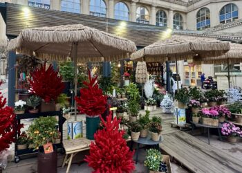 Le sapin de Noël éco-responsable chez Urbain Flowers