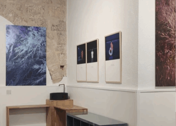 « Seules les racines restent » : une expo photo qui met à l’honneur la jeunesse