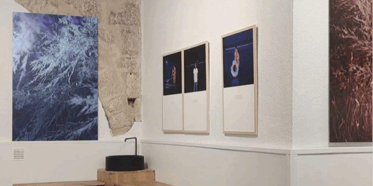 « Seules les racines restent » : une expo photo qui met à l’honneur la jeunesse