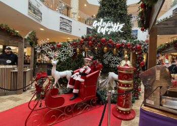 Décembre enchanté : Quand la magie de Noël illumine le cœur du Polygone