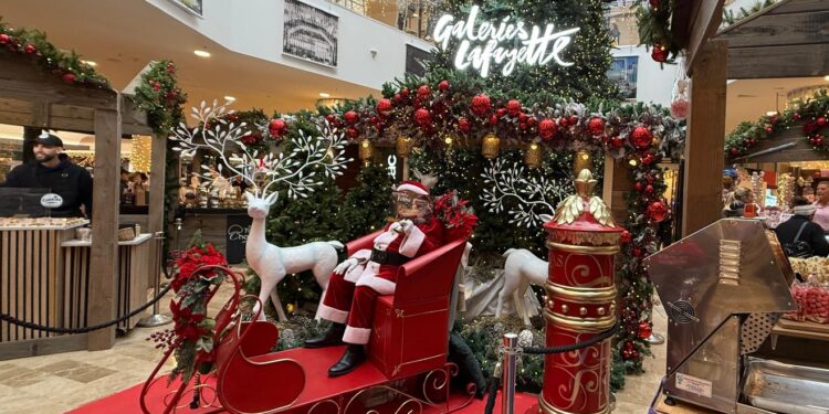 Décembre enchanté : Quand la magie de Noël illumine le cœur du Polygone
