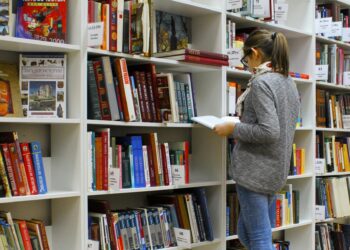 Le bon plan de Noël ! 10 000 Livres, BD, Mangas à 0,50€ à Pierresvives