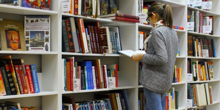 Le bon plan de Noël ! 10 000 Livres, BD, Mangas à 0,50€ à Pierresvives