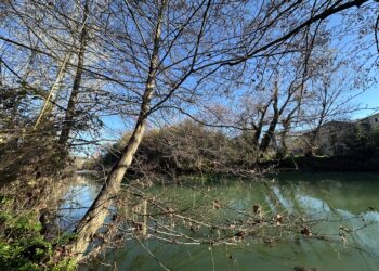 Pas de pluie pour ton week-end à Montpellier