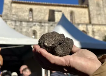 Grand Marche Aux Truffes De Saint Genies Des Mourgues
