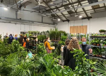 Montpellier La Halle Tropisme Se Transforme En Jungle Urbaine