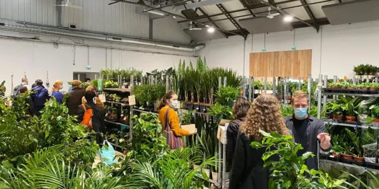 Montpellier La Halle Tropisme Se Transforme En Jungle Urbaine