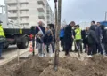 Montpellier Le 50 000e Arbre Plante Aux Hauts De Massane Avec Les Ecoliers