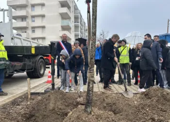 Montpellier Le 50 000e Arbre Plante Aux Hauts De Massane Avec Les Ecoliers