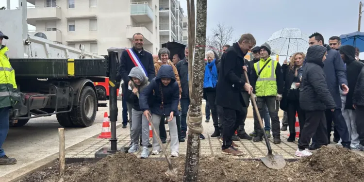 Montpellier Le 50 000e Arbre Plante Aux Hauts De Massane Avec Les Ecoliers