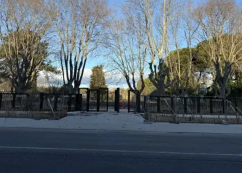 Parc Montcalm Un Premier Pas Vers La Grande Ouverture Sur Lavenue De Toulouse