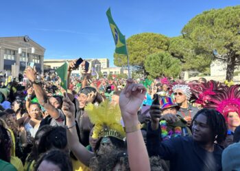 Montpellier : Un raz-de-marée tropical pour les 20 ans du Montpel’Carnival