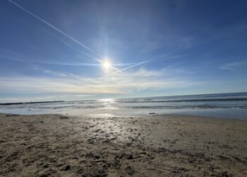 Une semaine de vacances douce et ensoleillée à Montpellier