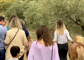 Domaine de l'Oulivie : Des visites guidées avec un poney pour enchanter les vacances
