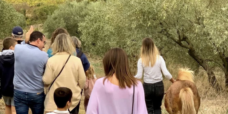 Domaine de l'Oulivie : Des visites guidées avec un poney pour enchanter les vacances