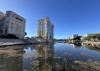 Grand soleil pour la fin de semaine avec 18° à Montpellier