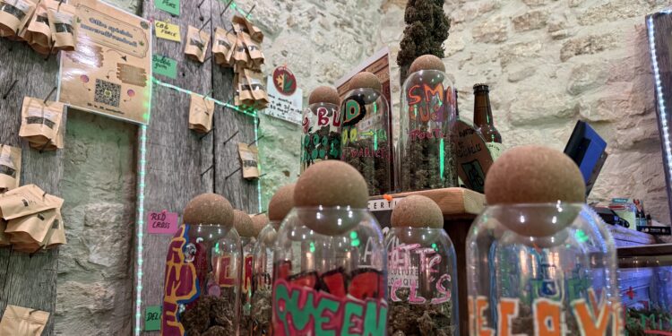 CBD bio et sélection XXL : l’adresse montpelliéraine qui joue la carte du choix