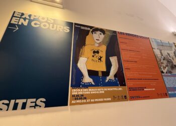 Montpellier : Le MO.CO raconte 250 ans d’audace et d’histoire