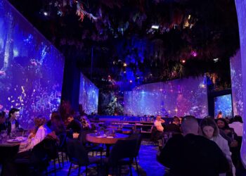 Tarifs : 4 € – Pass Famille (2 adultes + 2 enfants) : 10 €
