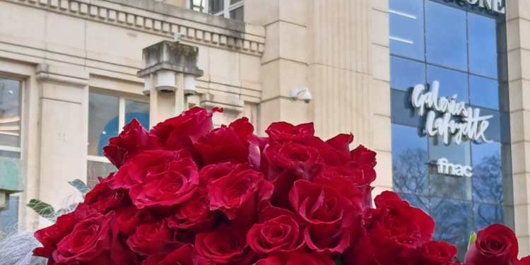 Urban Flowers : Le fleuriste "éco-chic" de Montpellier