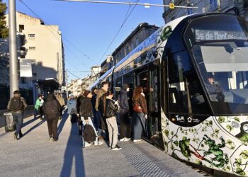 TaM Montpellier : Un tram toutes les 10 minutes sur la ligne 5