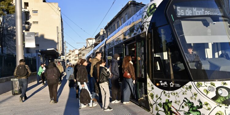 TaM Montpellier : Un tram toutes les 10 minutes sur la ligne 5