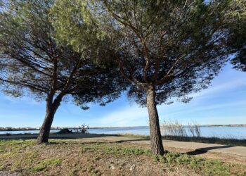 Météo : Du soleil mercredi et puis c'est tout !