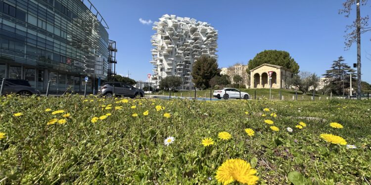 Un très beau week-end printanier sous un soleil dominant