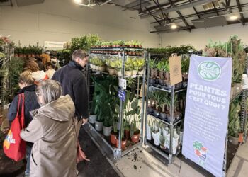 Montpellier : La grande braderie de plantes à partir de 0,99€ est de retour !