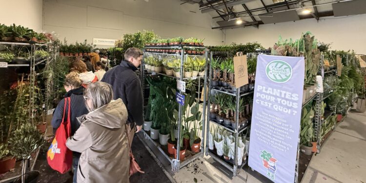 Montpellier : La grande braderie de plantes à partir de 0,99€ est de retour !