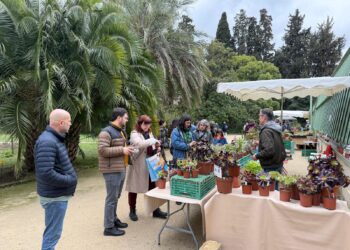 Primavera 2026 va faire fleurir le Jardin des Plantes