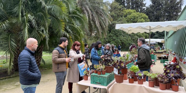 Primavera 2026 va faire fleurir le Jardin des Plantes