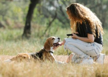 Montpellier, ville "dog-friendly" : 48 rendez-vous gratuits pour éduquer votre chien